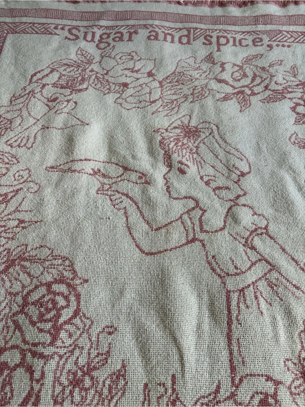 Sugar and Spice Pink Woven Throw Blanket